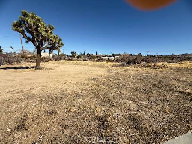 MLS #JT25042462 image #5