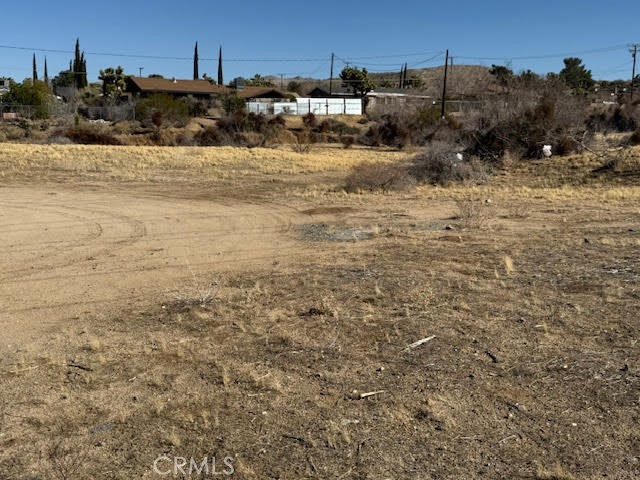 MLS #JT25042462 image #6