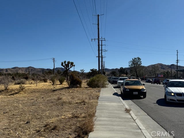 MLS #JT25042462 image #8