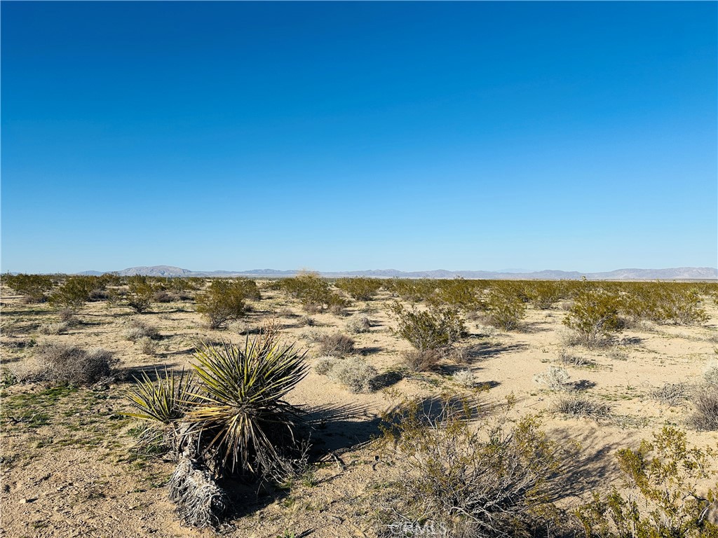 MLS #JT25045607 image #7