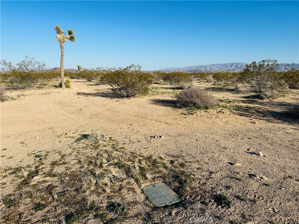 MLS #JT25045607 image #8