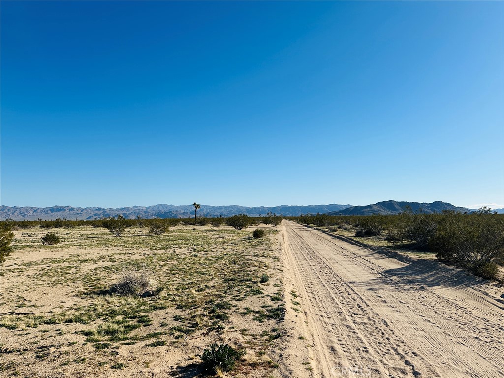 MLS #JT25045607 image #9