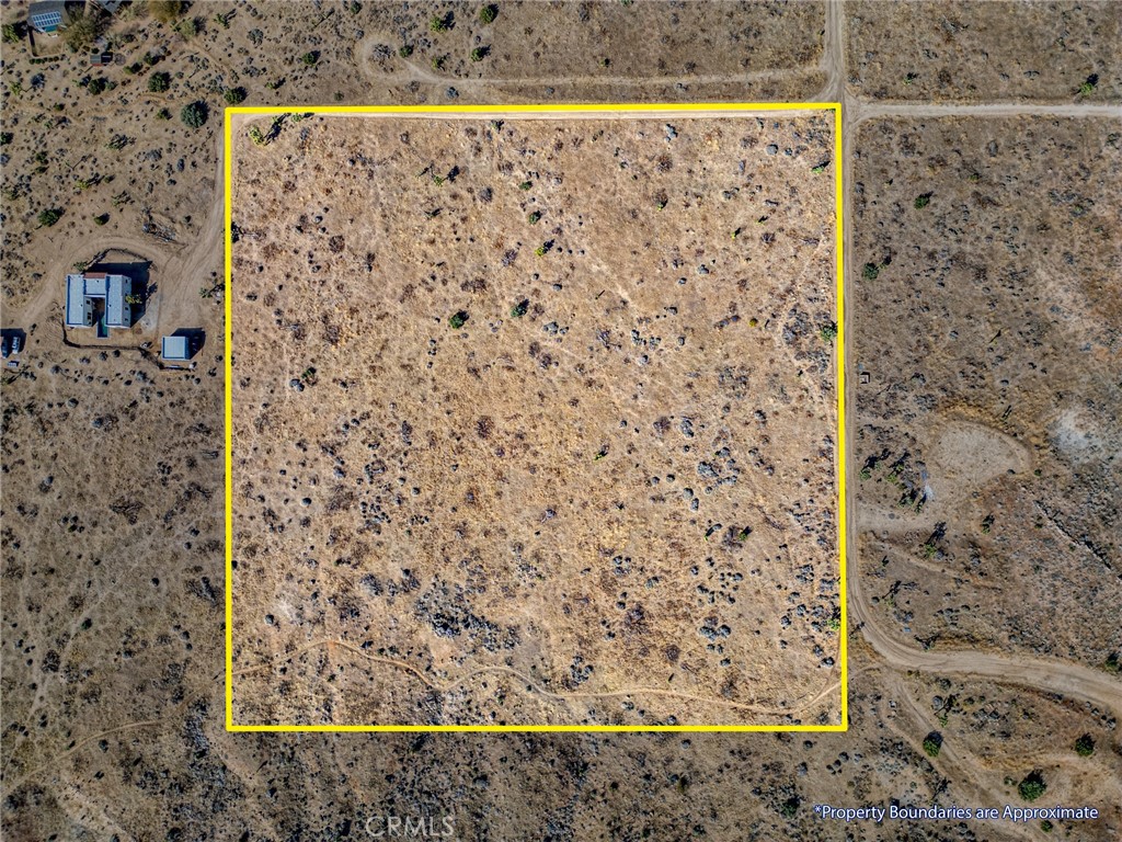 MLS #JT25046600 image #1