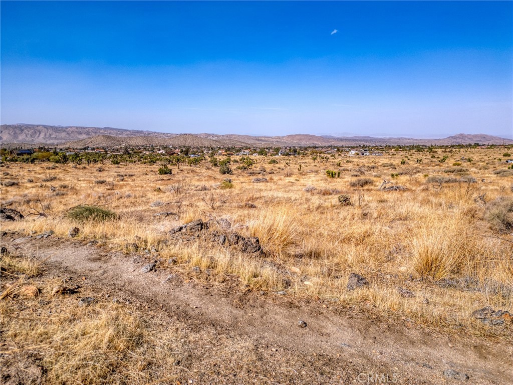 MLS #JT25046600 image #19