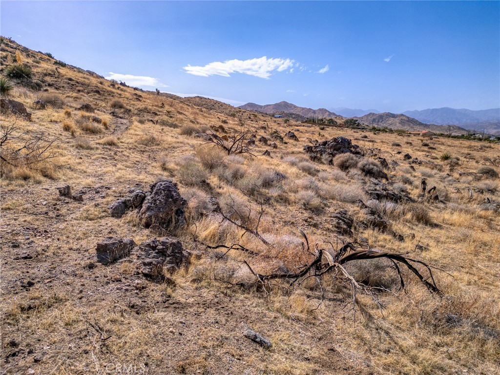 MLS #JT25046600 image #20