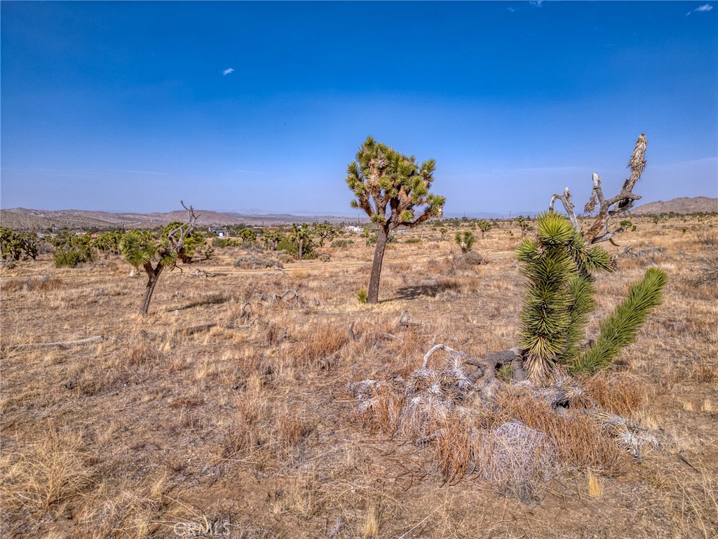 MLS #JT25046600 image #21