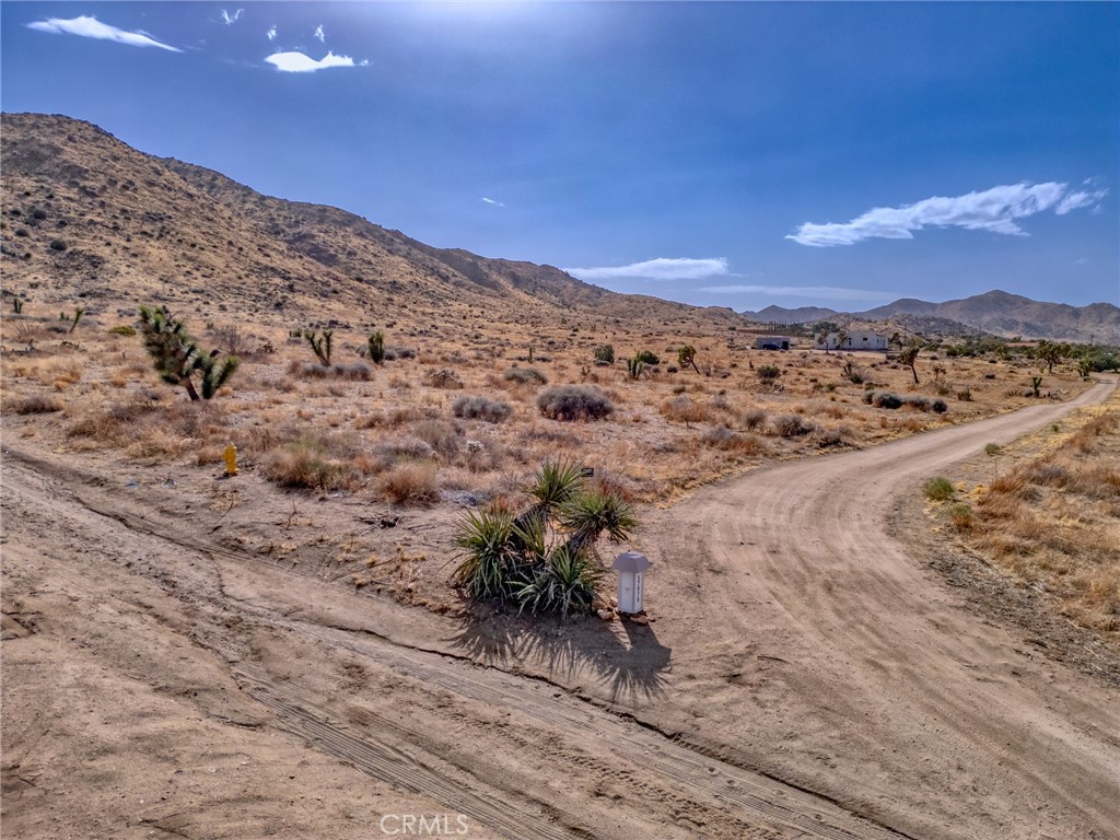 MLS #JT25046600 image #23