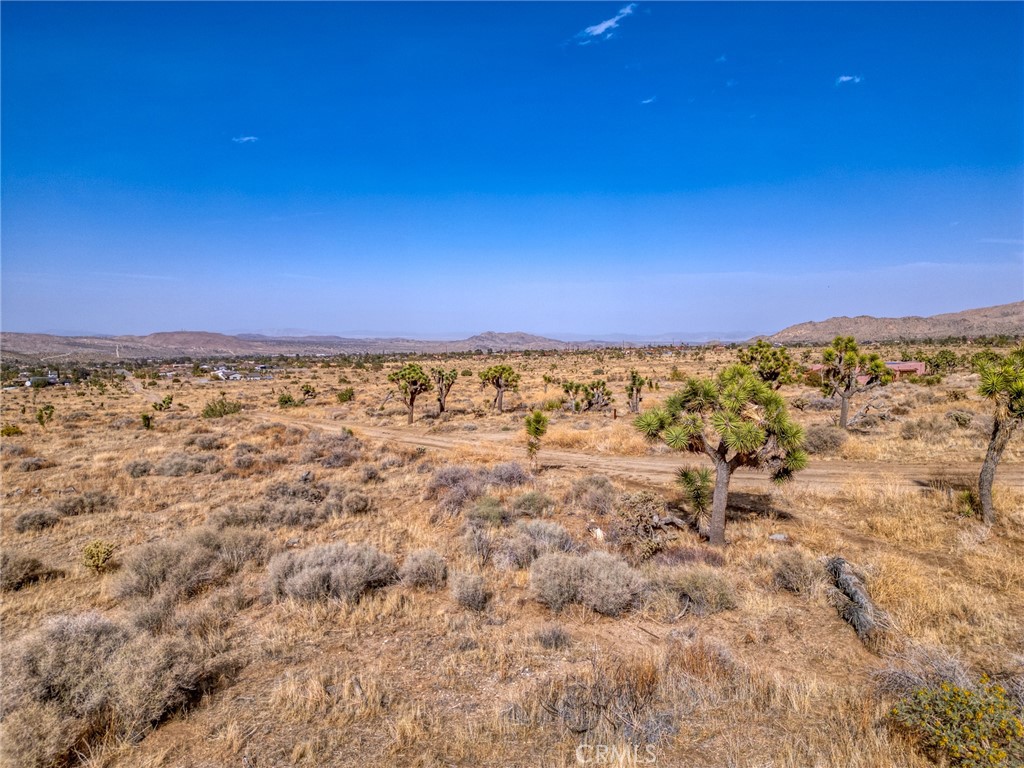 MLS #JT25046600 image #24