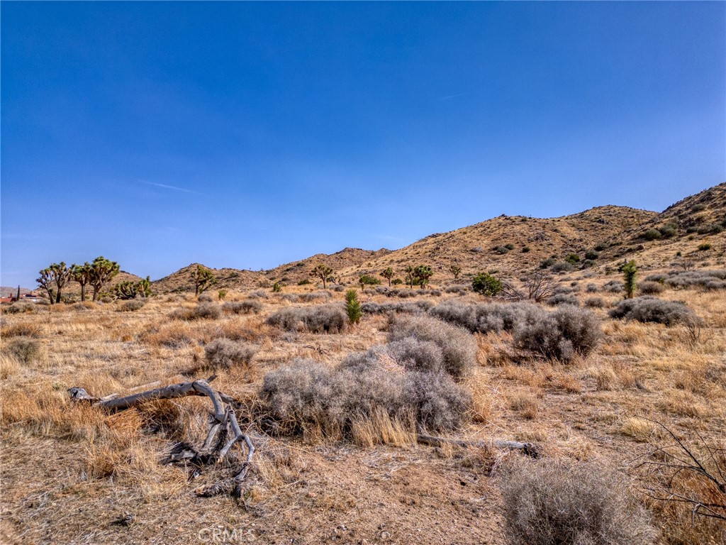 MLS #JT25046600 image #27