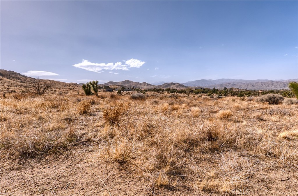 MLS #JT25046600 image #30