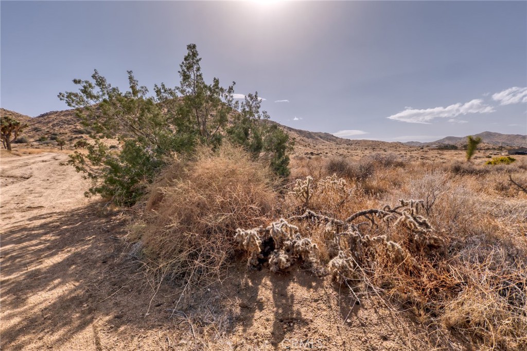 MLS #JT25046600 image #31