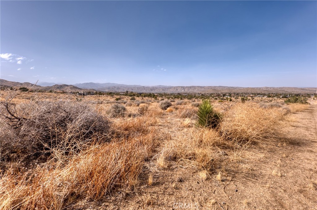 MLS #JT25046600 image #32