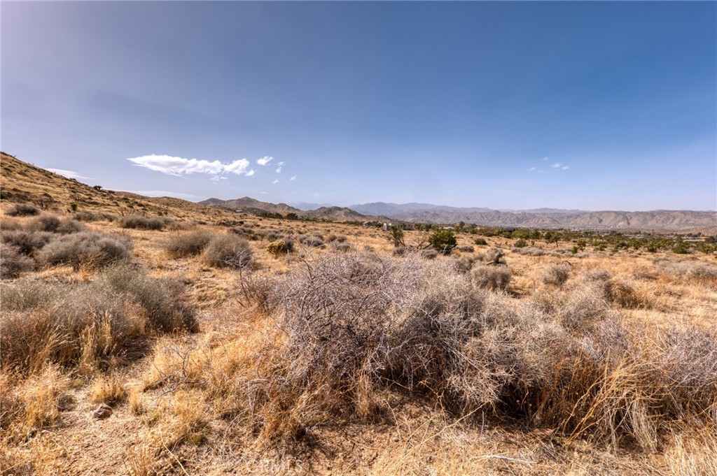 MLS #JT25046600 image #34