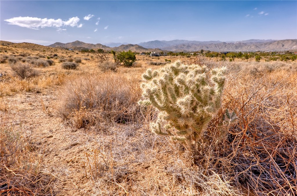 MLS #JT25046600 image #35