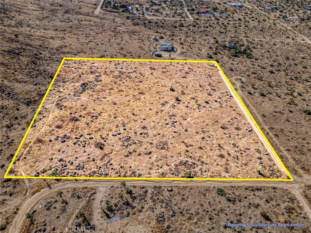 MLS #JT25046600 image #5