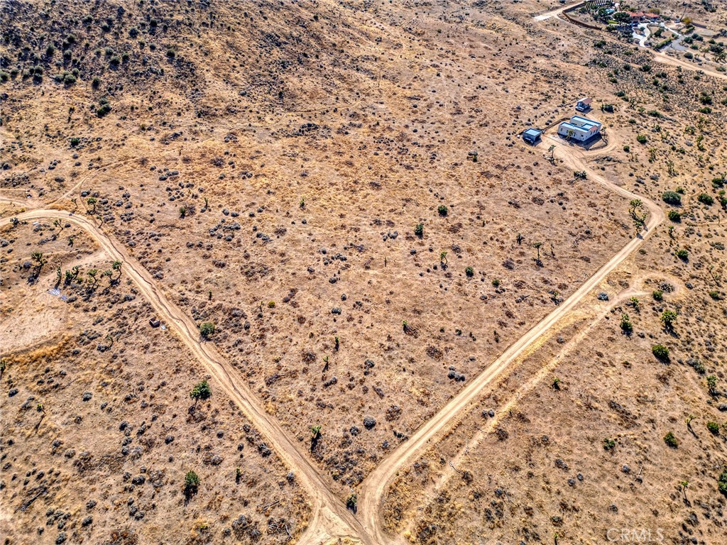 MLS #JT25046600 image #6