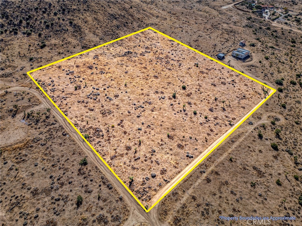 MLS #JT25046600 image #7