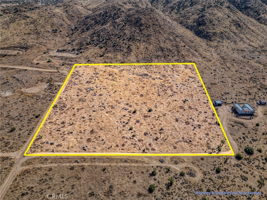 MLS #JT25046600 image #9