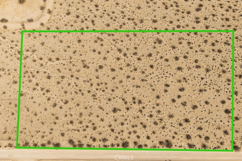 MLS #JT25047732 image #2