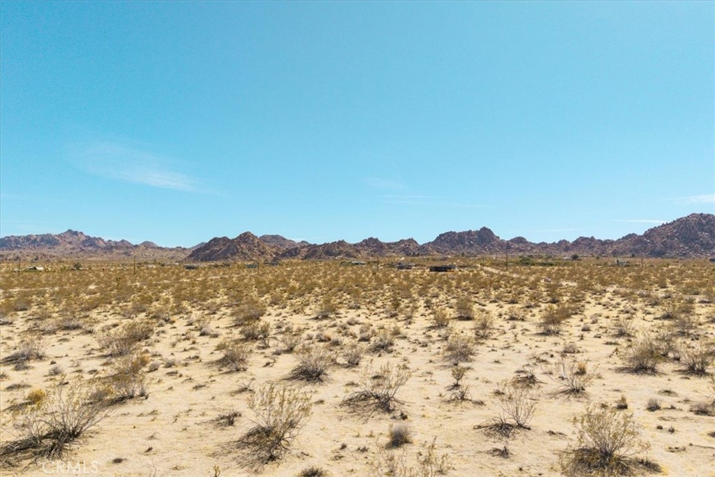 MLS #JT25047732 image #7