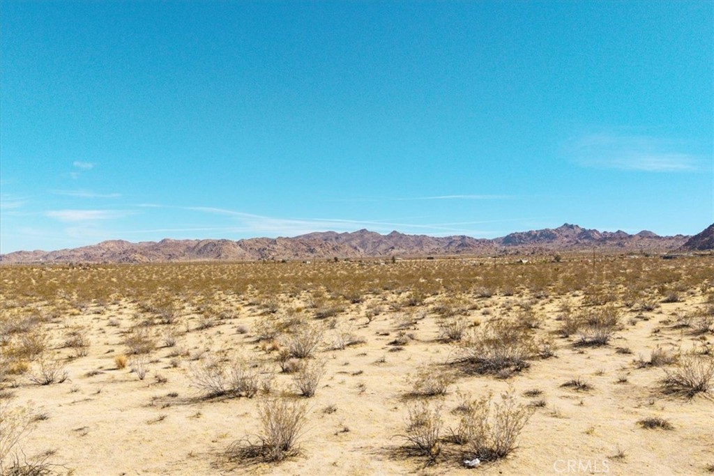 MLS #JT25047732 image #8