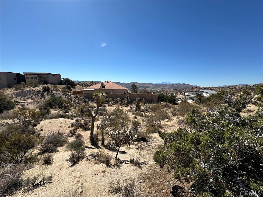 MLS #JT25048194 image #3