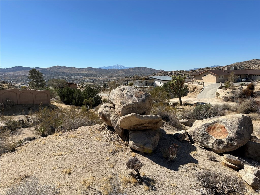 MLS #JT25048194 image #6