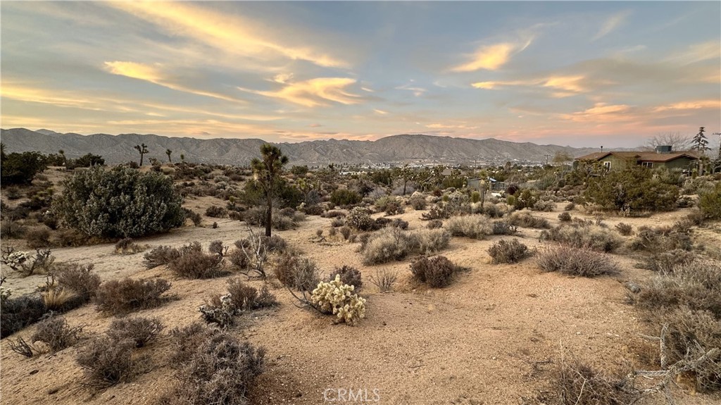 MLS #JT25049029 image #1