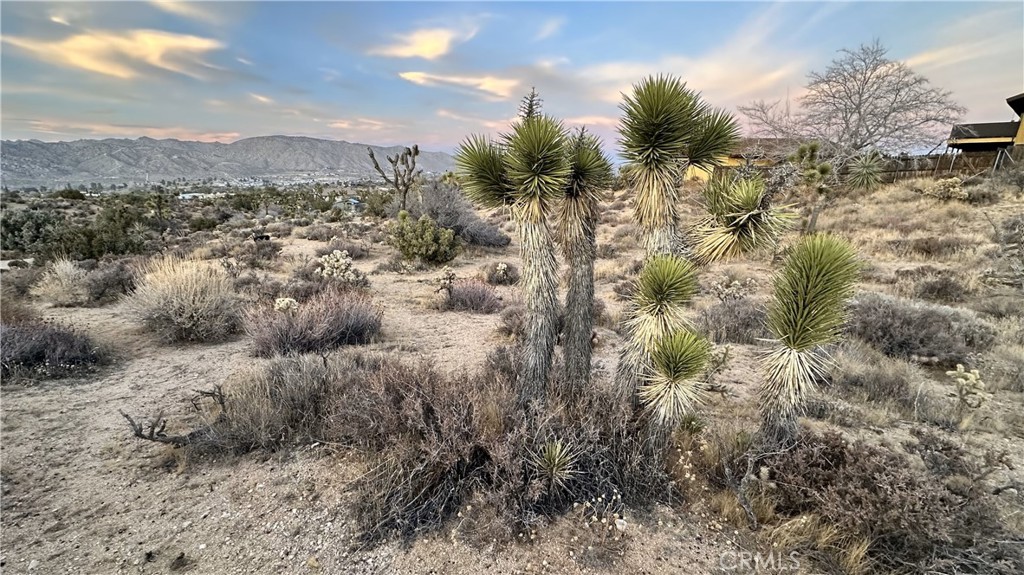 MLS #JT25049029 image #3