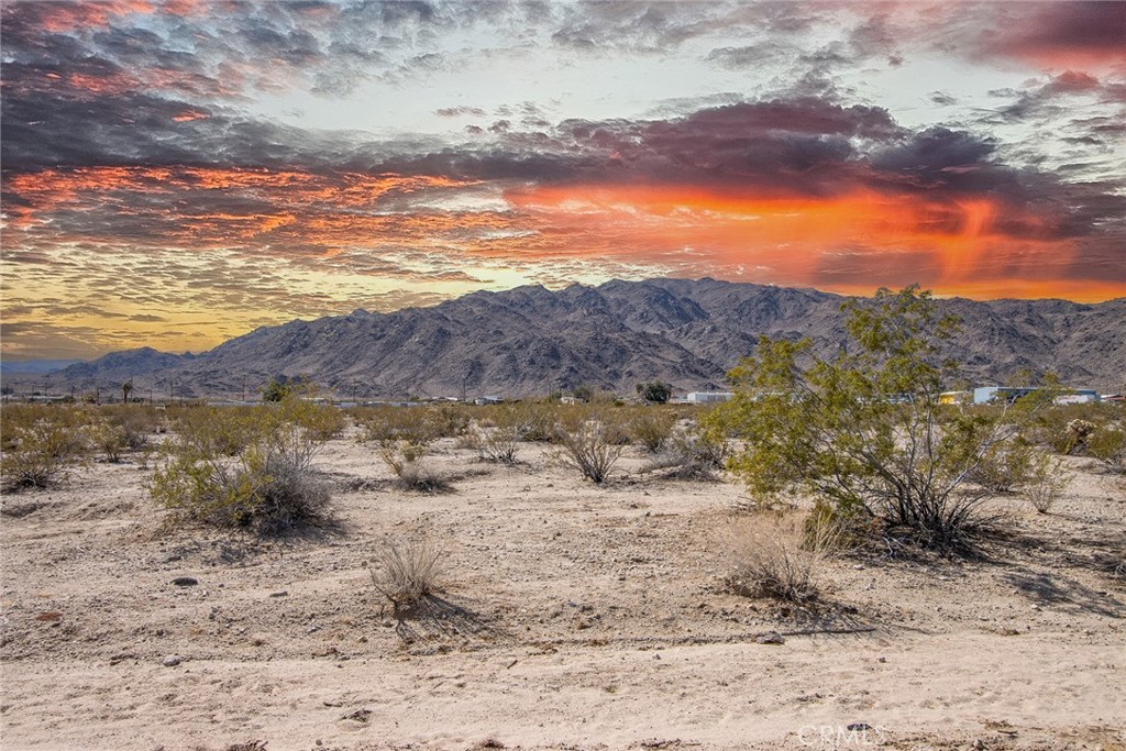 MLS #JT25051478 image #3