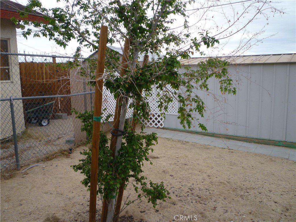 MLS #JT25054070 image #19