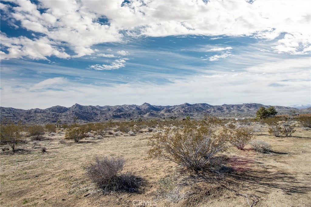 MLS #JT25057520 image #6