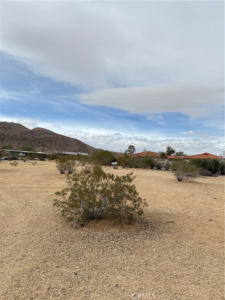 MLS #JT25057735 image #1