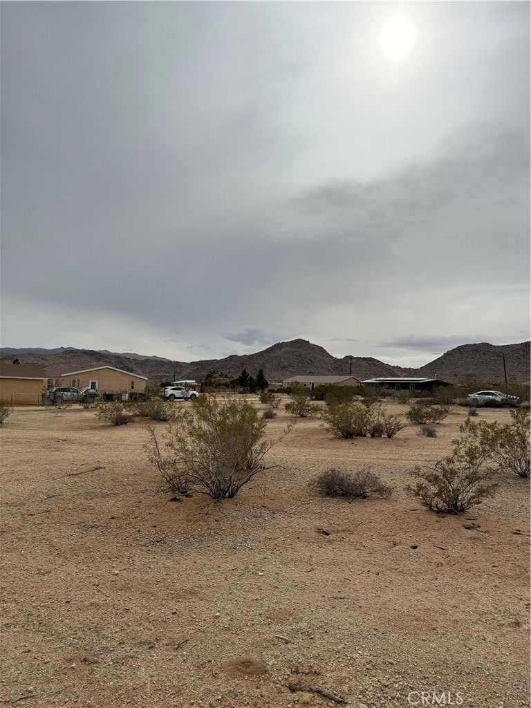 MLS #JT25057735 image #11