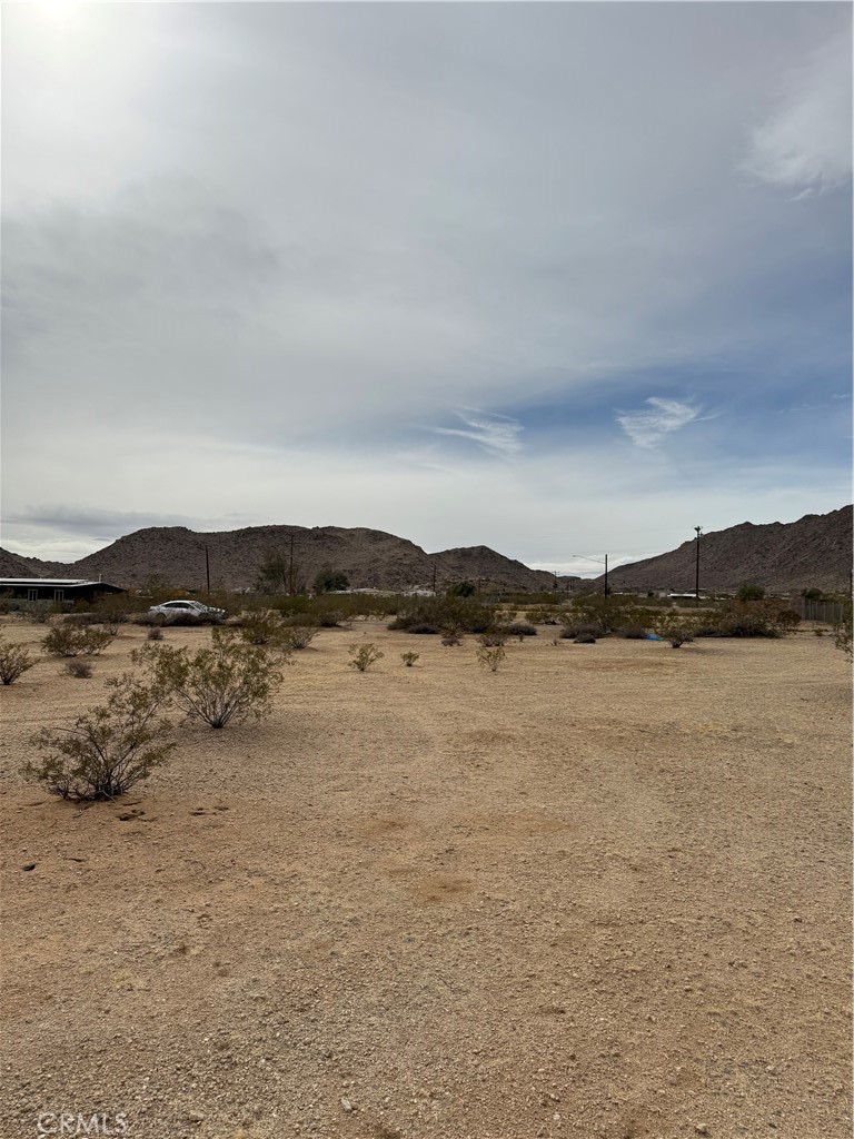 MLS #JT25057735 image #12