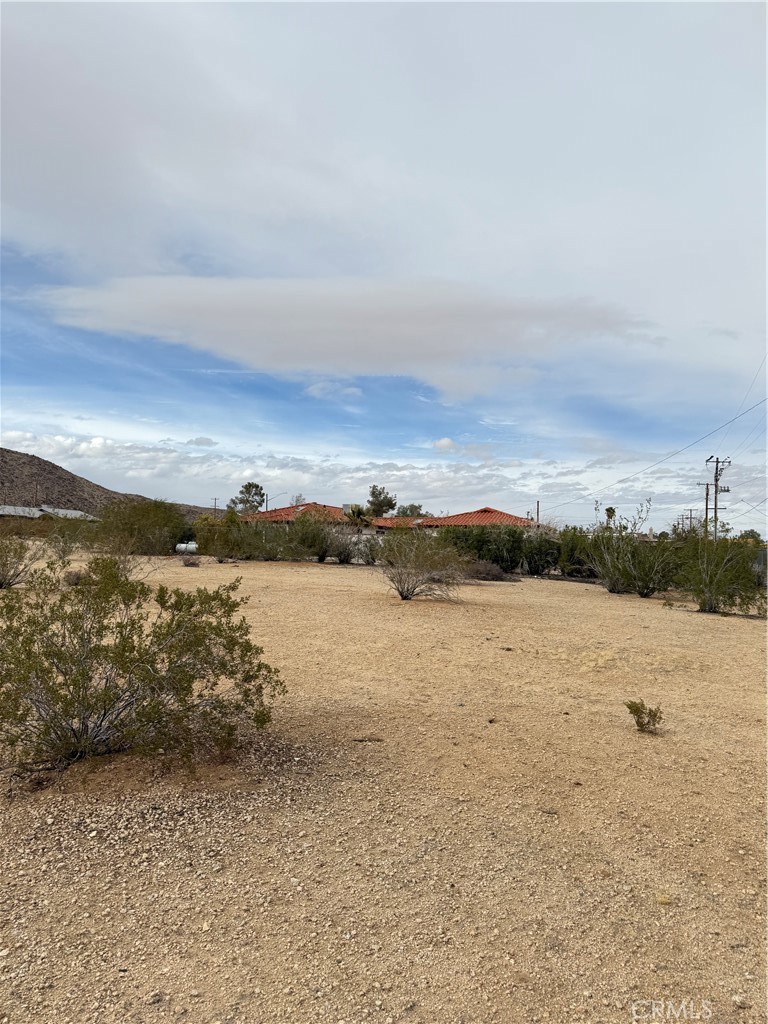 MLS #JT25057735 image #2