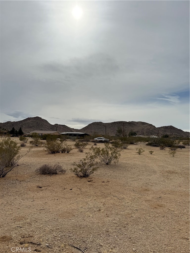 MLS #JT25057735 image #6