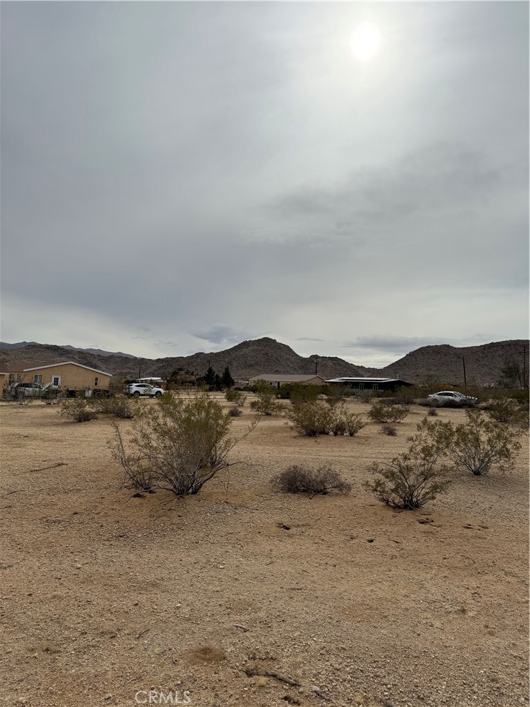 MLS #JT25057735 image #7