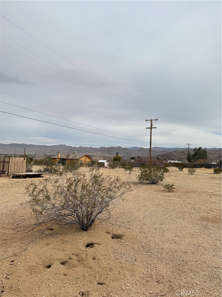 MLS #JT25057735 image #9