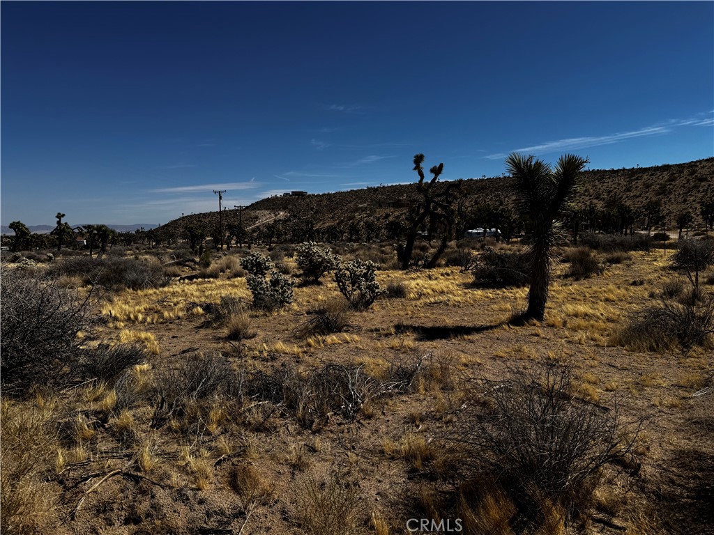 MLS #JT25058513 image #1