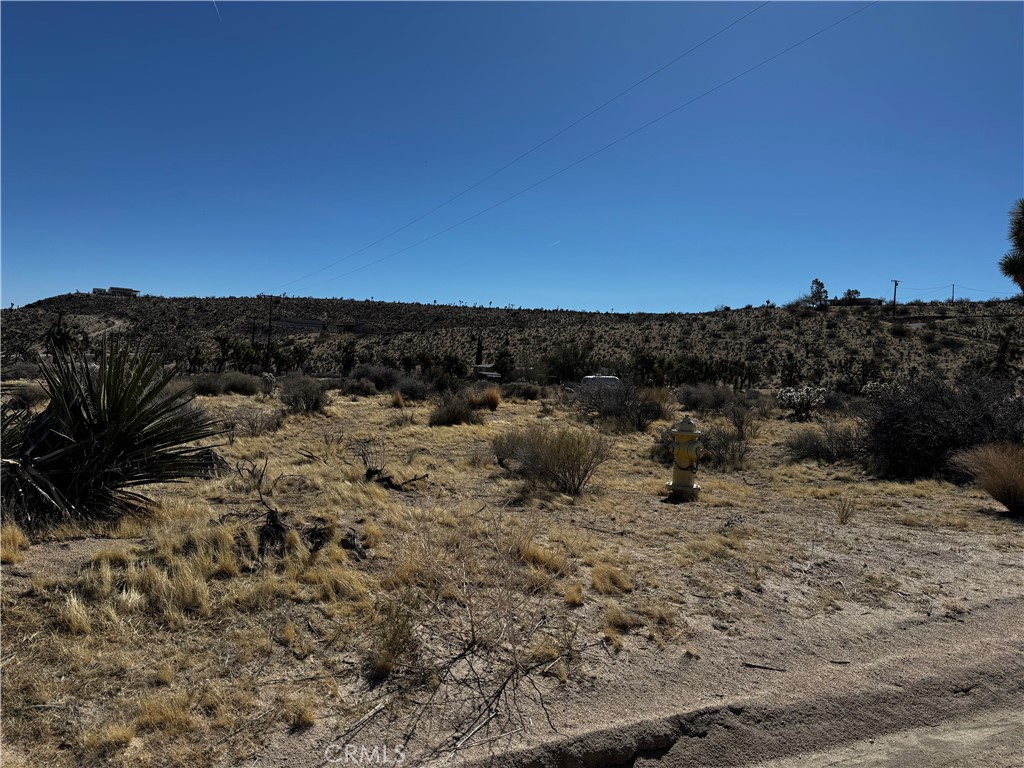 MLS #JT25058513 image #2