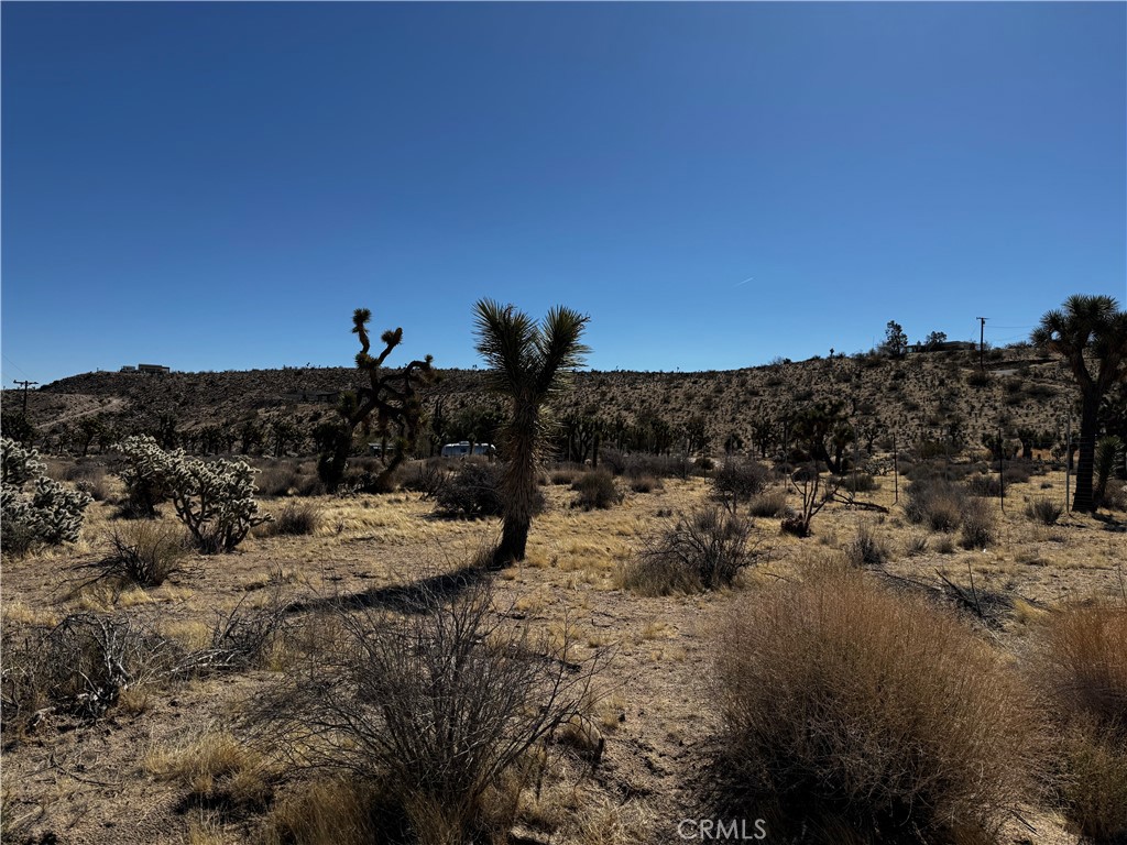 MLS #JT25058513 image #4