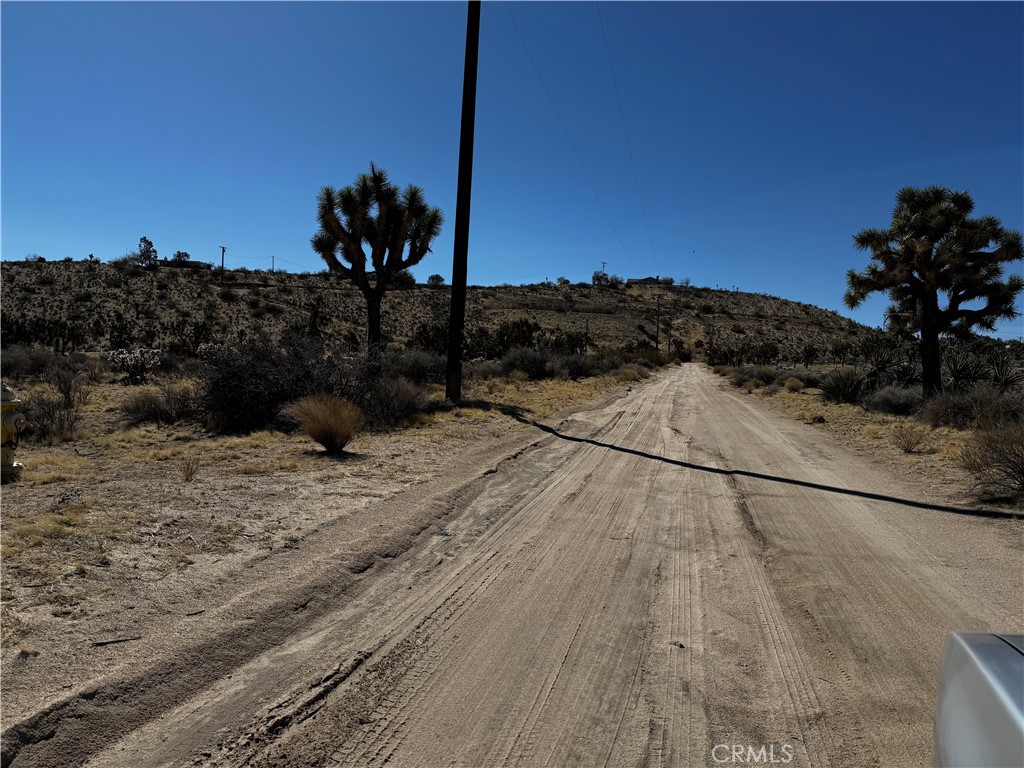 MLS #JT25058513 image #5