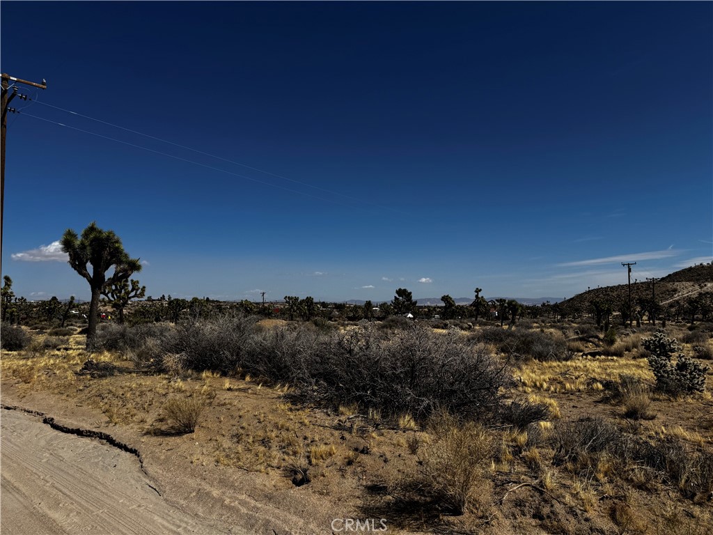 MLS #JT25058513 image #6