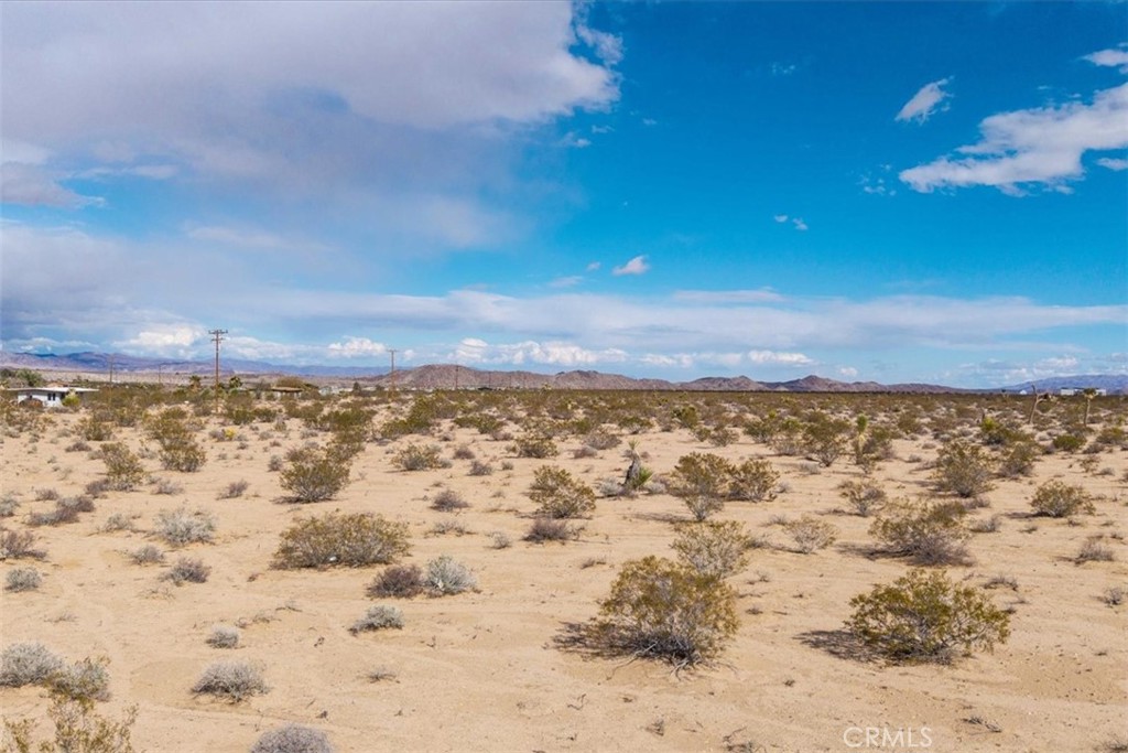 MLS #JT25059104 image #10