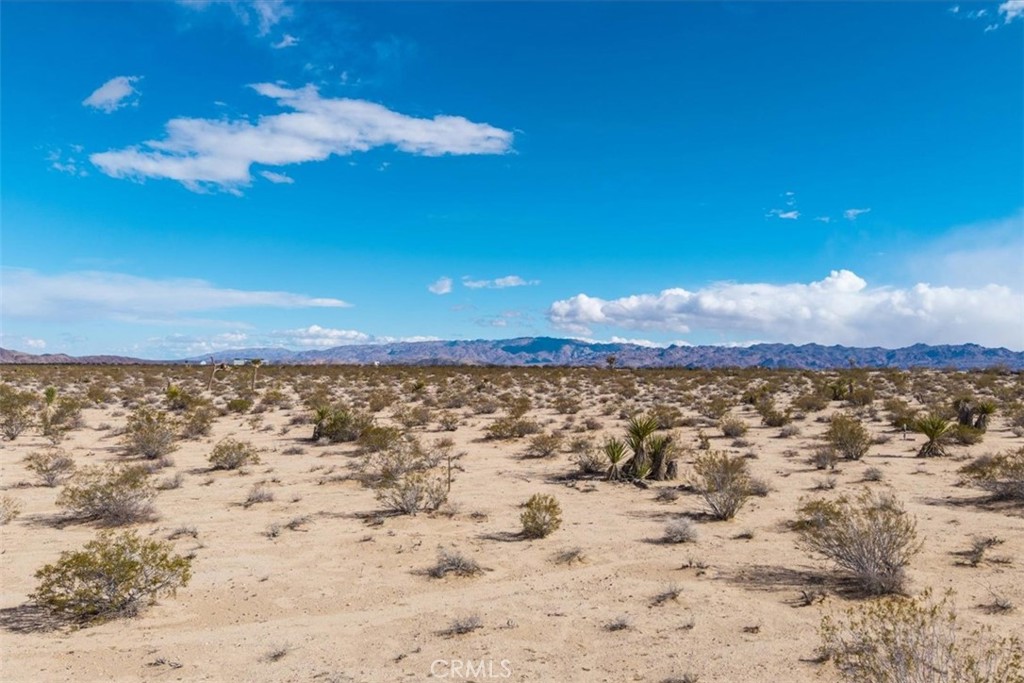 MLS #JT25059104 image #11