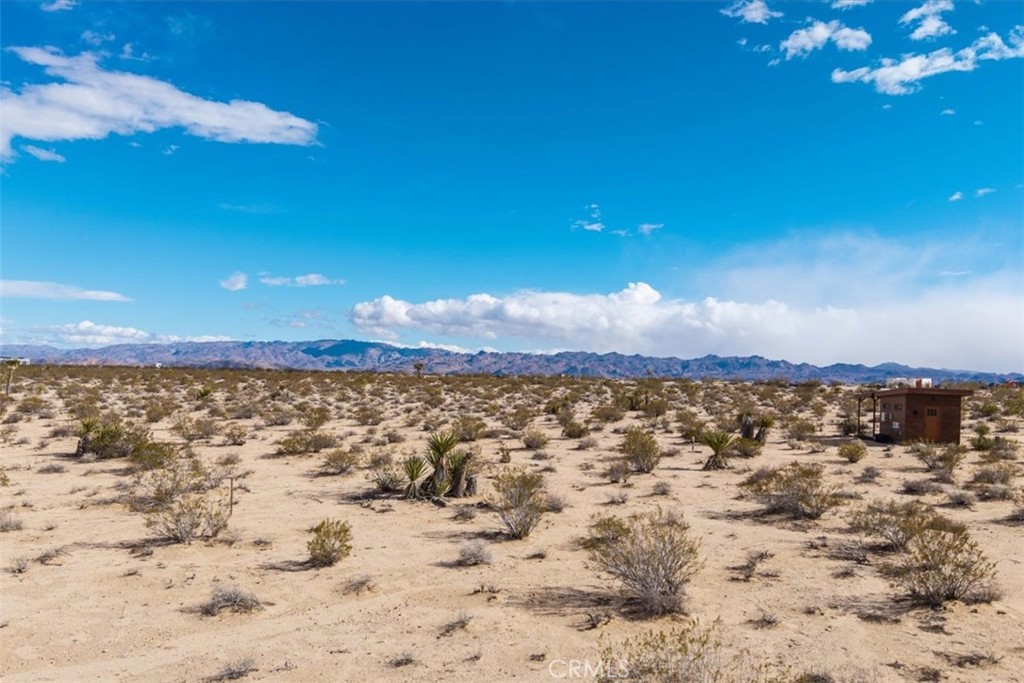 MLS #JT25059104 image #12