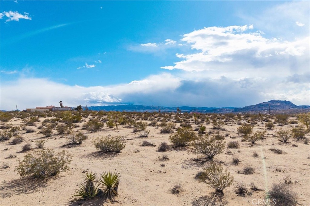 MLS #JT25059104 image #13