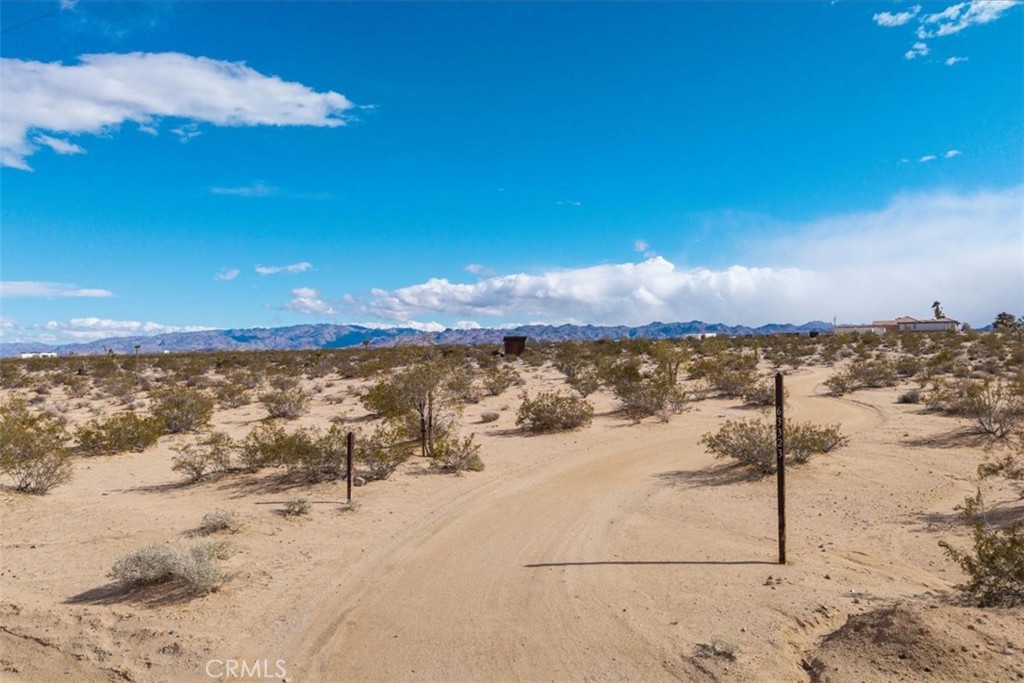 MLS #JT25059104 image #4