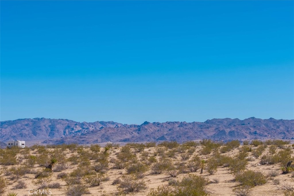 MLS #JT25059104 image #43